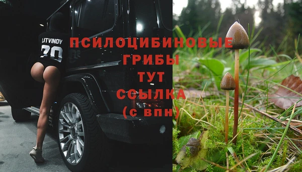 каннабис Абинск