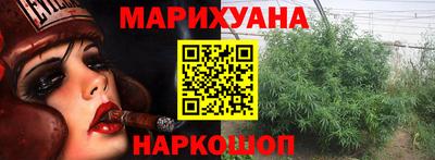 прущие грибы Моздок