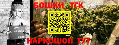 гидра Можга