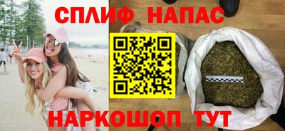 прущие грибы Моздок