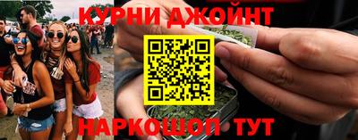 гидра Можга