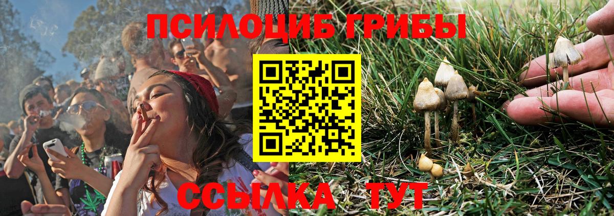 Добрянка  Псилоцибиновые грибы Psilocybine cubensis  Вход с VPN 